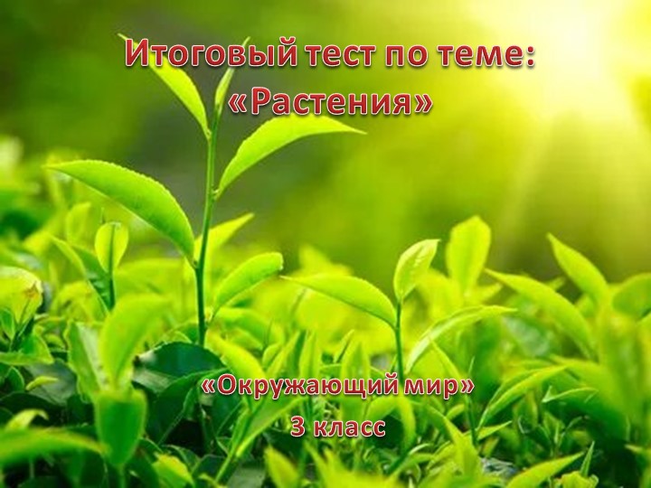 Презентация по окружающему миру для 3 класса по теме: "Итоговые тестовые задания по теме "Растения"  - Скачать презентации бесплатно | Читать или скачать учебники для школы онлайн бесплатно ☑ Школьные учебники school-textbook.com