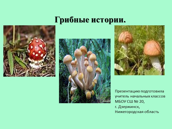 Презентация по окружающему миру на тему: "Грибные истории" (3 класс) - Скачать презентации бесплатно | Читать или скачать учебники для школы онлайн бесплатно ☑ Школьные учебники school-textbook.com