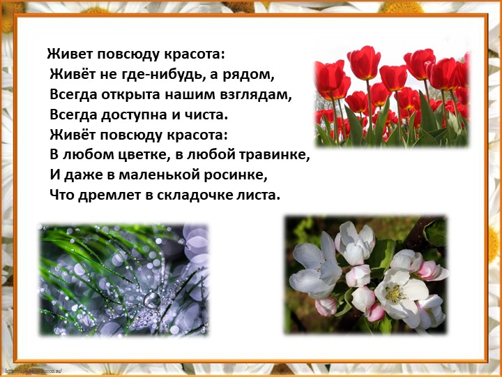 Презентация по литературе на тему: " Красота человеческая" - Скачать презентации бесплатно | Читать или скачать учебники для школы онлайн бесплатно ☑ Школьные учебники school-textbook.com