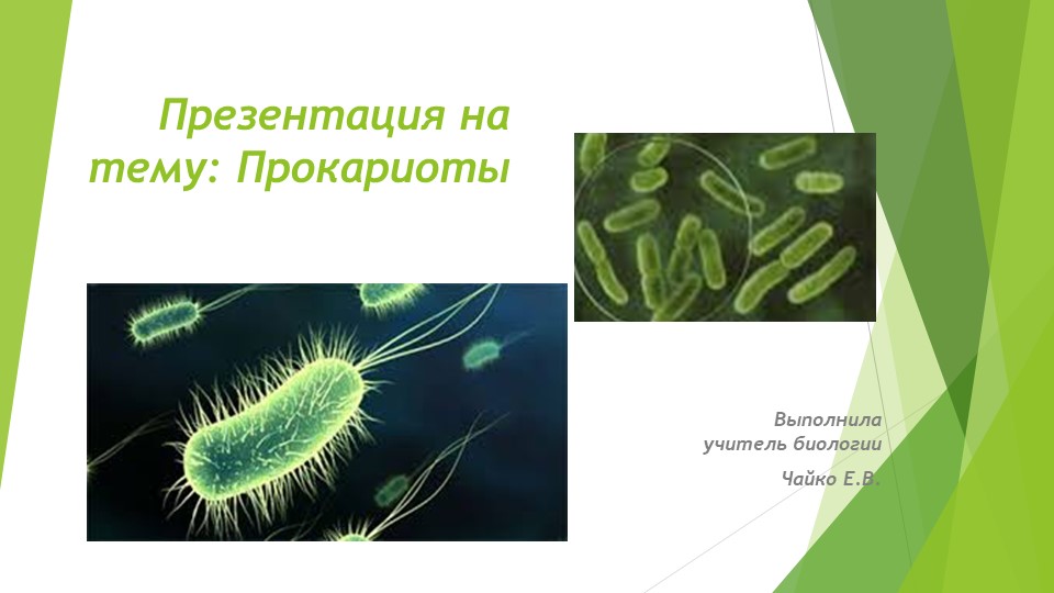 Презентация по биологии "Прокариоты"  - Скачать презентации бесплатно | Читать или скачать учебники для школы онлайн бесплатно ☑ Школьные учебники school-textbook.com