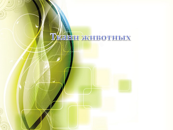 Презентация по биологии на тему: "Ткани животных" 7 класс  - Скачать презентации бесплатно | Читать или скачать учебники для школы онлайн бесплатно ☑ Школьные учебники school-textbook.com