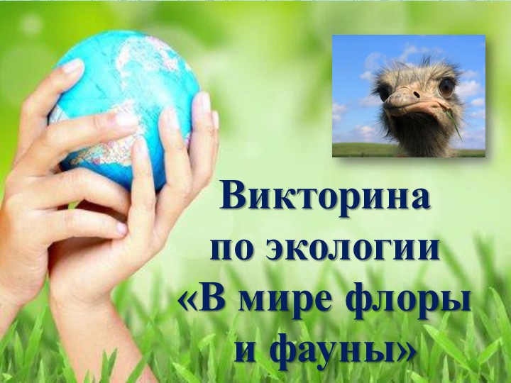 Викторина В мире флоры и фауны  - Скачать презентации бесплатно | Читать или скачать учебники для школы онлайн бесплатно ☑ Школьные учебники school-textbook.com