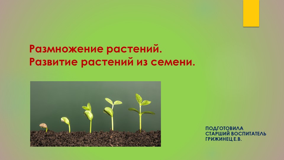 Как познакомить ребенка дошкольника с процессом развития растения, Конечно, использовать наглядный материал. - Скачать презентации бесплатно | Читать или скачать учебники для школы онлайн бесплатно ☑ Школьные учебники school-textbook.com