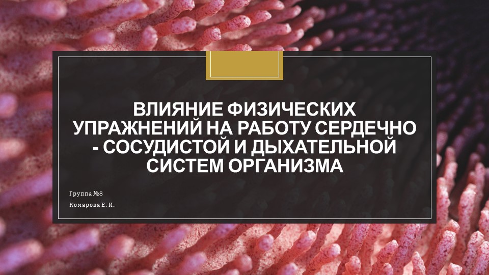 Влияние физических упражнений на работу сердечно - сосудистой и дыхательной систем организма  - Скачать презентации бесплатно | Читать или скачать учебники для школы онлайн бесплатно ☑ Школьные учебники school-textbook.com