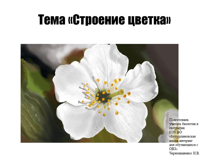 Презентация по биологии на тему "Строение цветка" (7 класс)  - Скачать презентации бесплатно | Читать или скачать учебники для школы онлайн бесплатно ☑ Школьные учебники school-textbook.com
