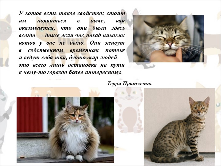 Презентация "Кошки в культуре" (7 класс) - Скачать презентации бесплатно | Читать или скачать учебники для школы онлайн бесплатно ☑ Школьные учебники school-textbook.com