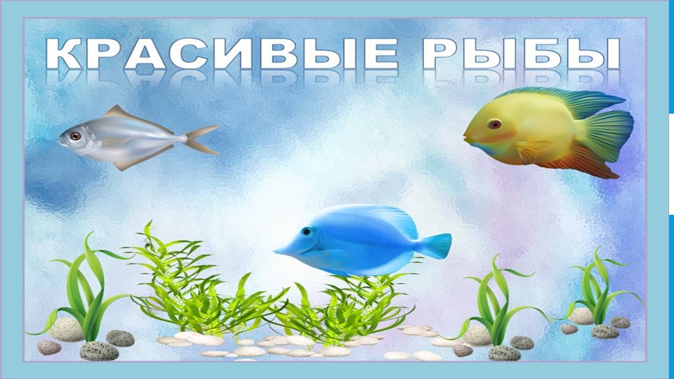 Презентация " Красивые рыбы" - Скачать презентации бесплатно | Читать или скачать учебники для школы онлайн бесплатно ☑ Школьные учебники school-textbook.com
