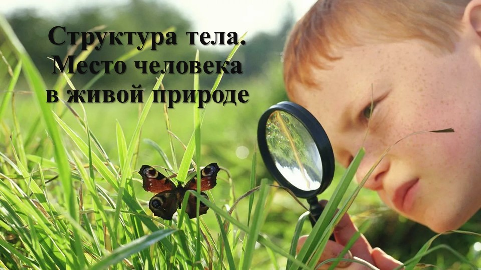 Тема: "Структура тела. Место человека в живой природе"  - Скачать презентации бесплатно | Читать или скачать учебники для школы онлайн бесплатно ☑ Школьные учебники school-textbook.com