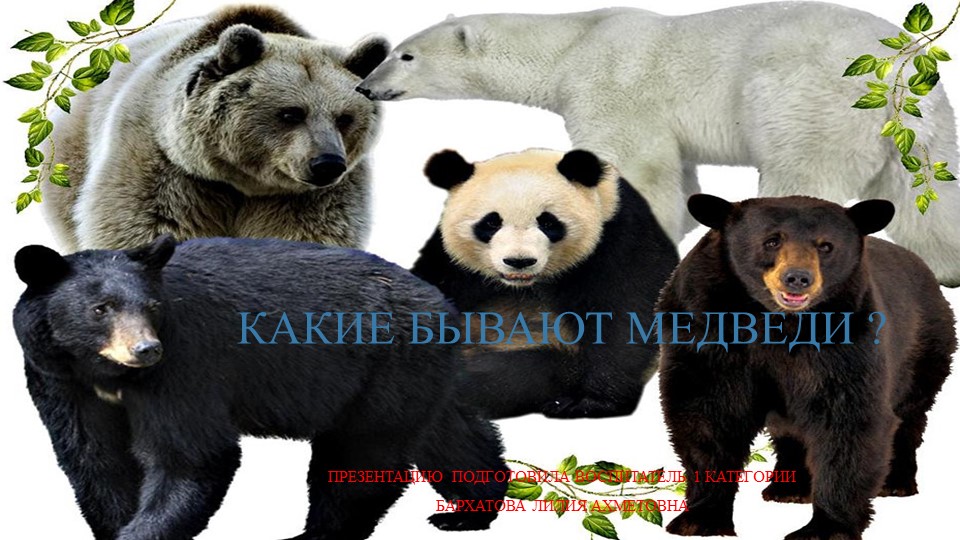 Презентация по окружающему миру "какие бывают медведи? - Скачать презентации бесплатно | Читать или скачать учебники для школы онлайн бесплатно ☑ Школьные учебники school-textbook.com