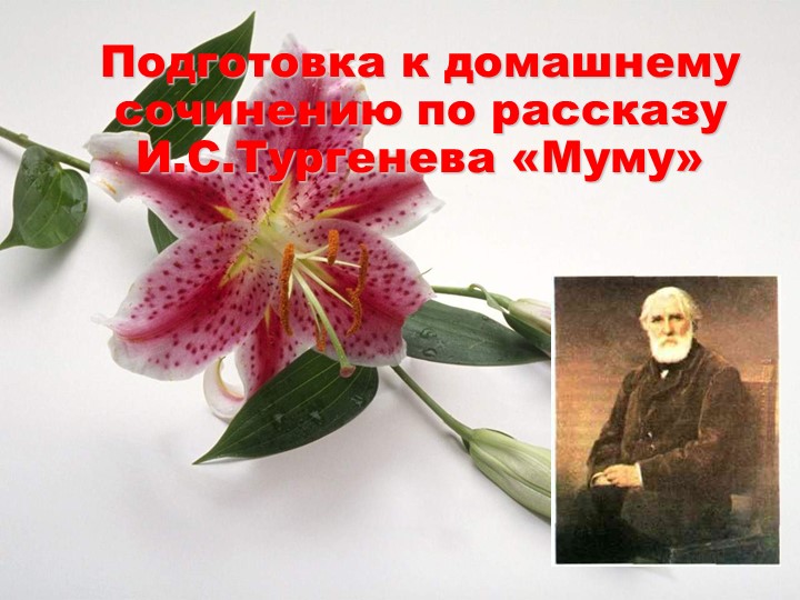 Подготовка к домашнему сочинению по рассказу И.С.Тургенева «Муму»  - Скачать презентации бесплатно | Читать или скачать учебники для школы онлайн бесплатно ☑ Школьные учебники school-textbook.com