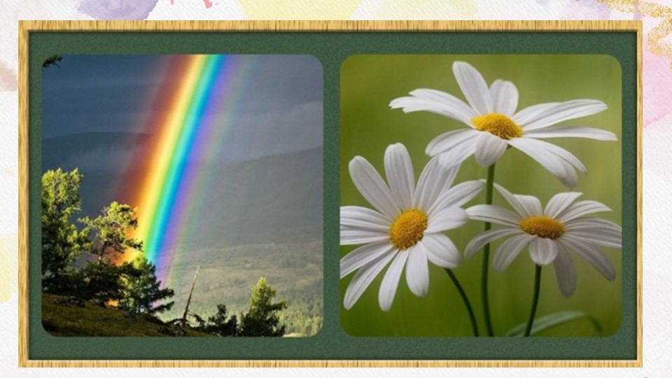 Презентация по биологии на тему: "Биология - наука о жизни"  - Скачать презентации бесплатно | Читать или скачать учебники для школы онлайн бесплатно ☑ Школьные учебники school-textbook.com