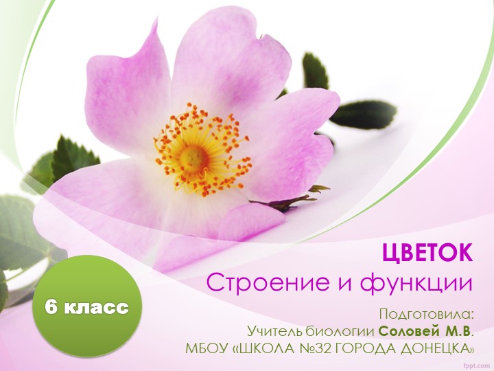 Презентация по биологии на тему "Строение и функции цветка" (6 класс) - Скачать презентации бесплатно | Читать или скачать учебники для школы онлайн бесплатно ☑ Школьные учебники school-textbook.com