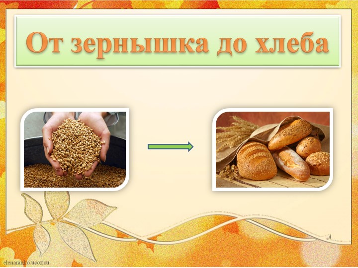 Презентация по развитию речи на тему "От зернышка к хлебу"  - Скачать презентации бесплатно | Читать или скачать учебники для школы онлайн бесплатно ☑ Школьные учебники school-textbook.com