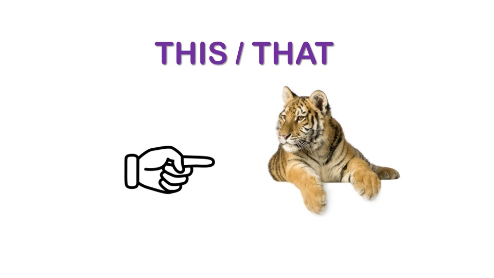 Указательные местоимения THIS THAT THESE THOSE  - Скачать презентации бесплатно | Читать или скачать учебники для школы онлайн бесплатно ☑ Школьные учебники school-textbook.com