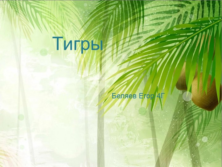 Презентация по технологии на тему" Тигры" (4 класс)  - Скачать презентации бесплатно | Читать или скачать учебники для школы онлайн бесплатно ☑ Школьные учебники school-textbook.com