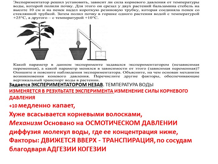 Урок "Повторение по биологии"  - Скачать презентации бесплатно | Читать или скачать учебники для школы онлайн бесплатно ☑ Школьные учебники school-textbook.com