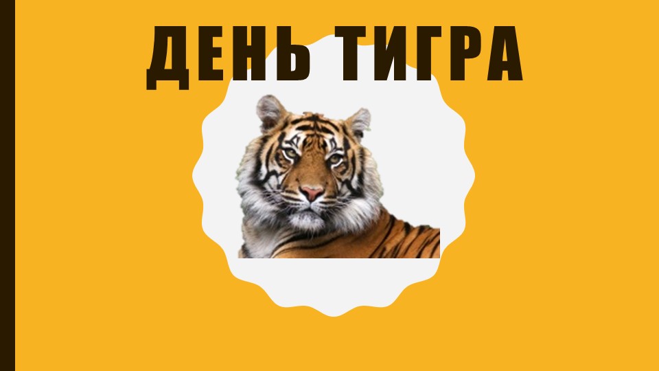 Презентация "День тигра" (3 класс) - Скачать презентации бесплатно | Читать или скачать учебники для школы онлайн бесплатно ☑ Школьные учебники school-textbook.com