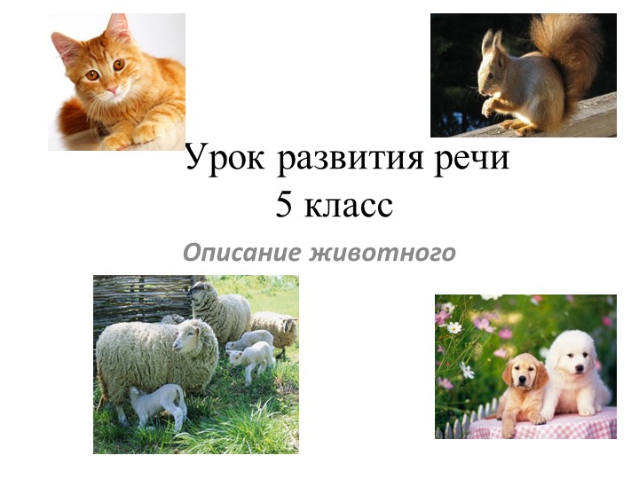 Урок развития речи "Описание животного"  - Скачать презентации бесплатно | Читать или скачать учебники для школы онлайн бесплатно ☑ Школьные учебники school-textbook.com
