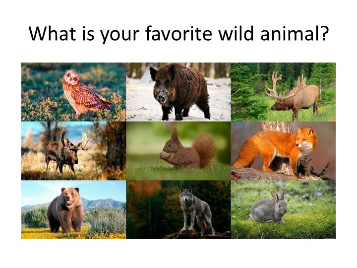 Презентация по английскому языку на тему "A whale of a time" (4 кл) - Скачать презентации бесплатно | Читать или скачать учебники для школы онлайн бесплатно ☑ Школьные учебники school-textbook.com