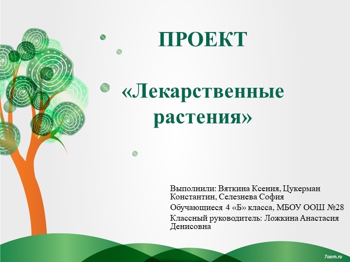 Презентация к проекту по окружающему миру "Лекарственные растения"  - Скачать презентации бесплатно | Читать или скачать учебники для школы онлайн бесплатно ☑ Школьные учебники school-textbook.com