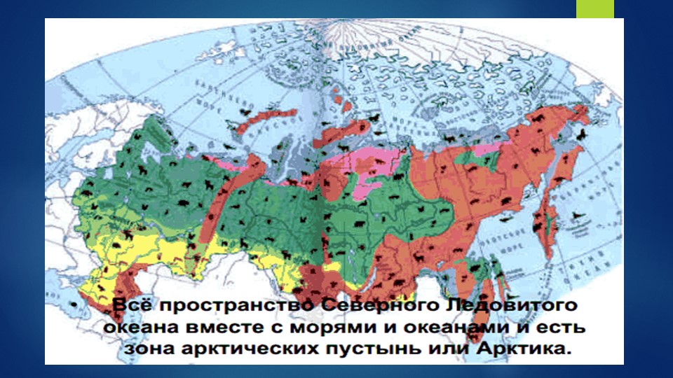 Презентация по окружающему миру "Арктическая пустыня"  - Скачать презентации бесплатно | Читать или скачать учебники для школы онлайн бесплатно ☑ Школьные учебники school-textbook.com