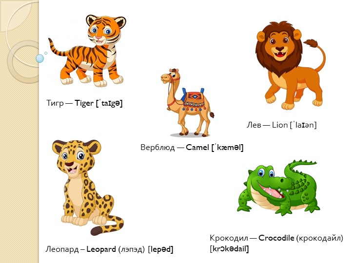 Фрагмент урока введения звука во 2 классе  - Скачать презентации бесплатно | Читать или скачать учебники для школы онлайн бесплатно ☑ Школьные учебники school-textbook.com