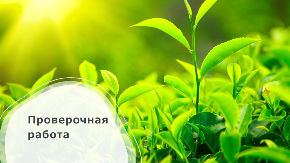 Презентация Строение и функция листа - Скачать презентации бесплатно | Читать или скачать учебники для школы онлайн бесплатно ☑ Школьные учебники school-textbook.com