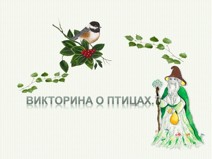 Презентация "Викторина о птицах". - Скачать презентации бесплатно | Читать или скачать учебники для школы онлайн бесплатно ☑ Школьные учебники school-textbook.com