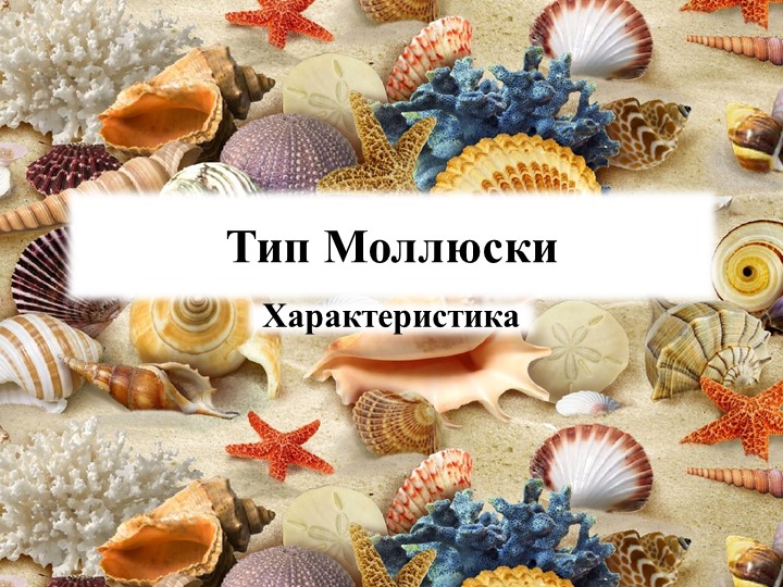 Моллюски (презентация к уроку) - Скачать презентации бесплатно | Читать или скачать учебники для школы онлайн бесплатно ☑ Школьные учебники school-textbook.com