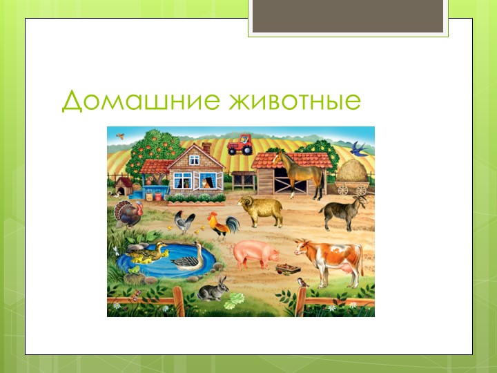 Презентация по развитию речи " Домашние животные"  - Скачать презентации бесплатно | Читать или скачать учебники для школы онлайн бесплатно ☑ Школьные учебники school-textbook.com