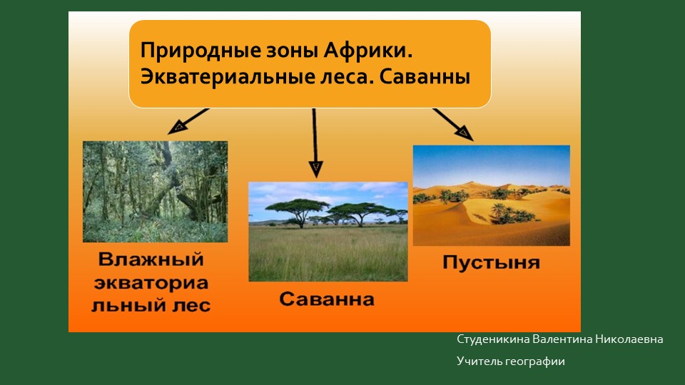 Презентация по географии на тему "Природные зоны Африки. Экваториальные леса. Саванны." (7 класс)  - Скачать презентации бесплатно | Читать или скачать учебники для школы онлайн бесплатно ☑ Школьные учебники school-textbook.com