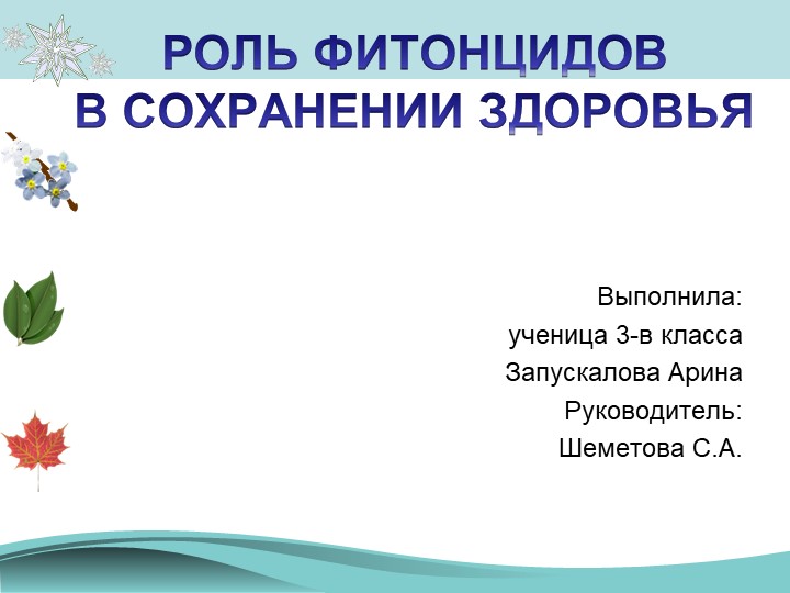 Презентация к работе "влияние фитонцидов на здоровье человека" - Скачать презентации бесплатно | Читать или скачать учебники для школы онлайн бесплатно ☑ Школьные учебники school-textbook.com