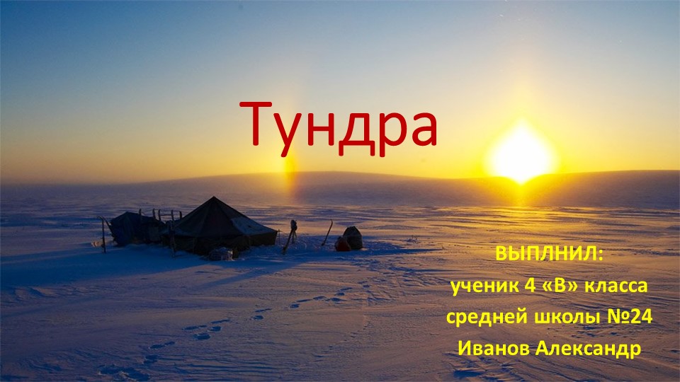Презентация по технологии "Тундра"( 5 класс) - Скачать презентации бесплатно | Читать или скачать учебники для школы онлайн бесплатно ☑ Школьные учебники school-textbook.com