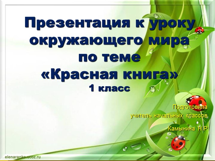Презентация к уроку «Красная книга России» - Скачать презентации бесплатно | Читать или скачать учебники для школы онлайн бесплатно ☑ Школьные учебники school-textbook.com