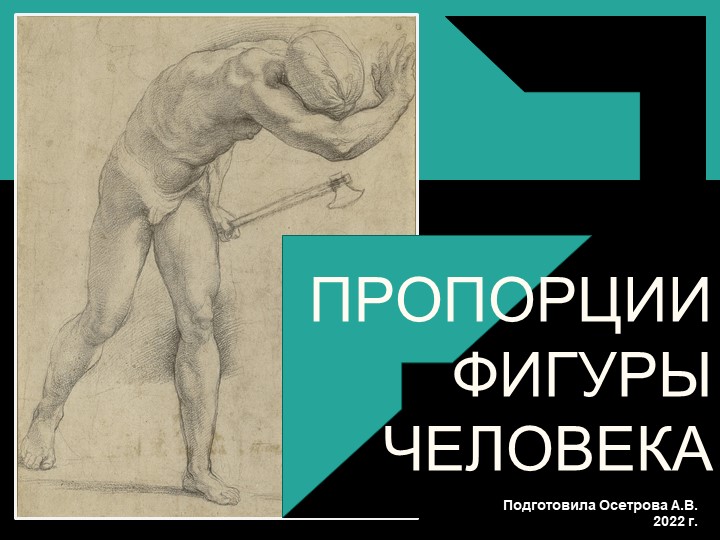 Презентация по пластической анатомии "Пропорции фигуры человека"  - Скачать презентации бесплатно | Читать или скачать учебники для школы онлайн бесплатно ☑ Школьные учебники school-textbook.com