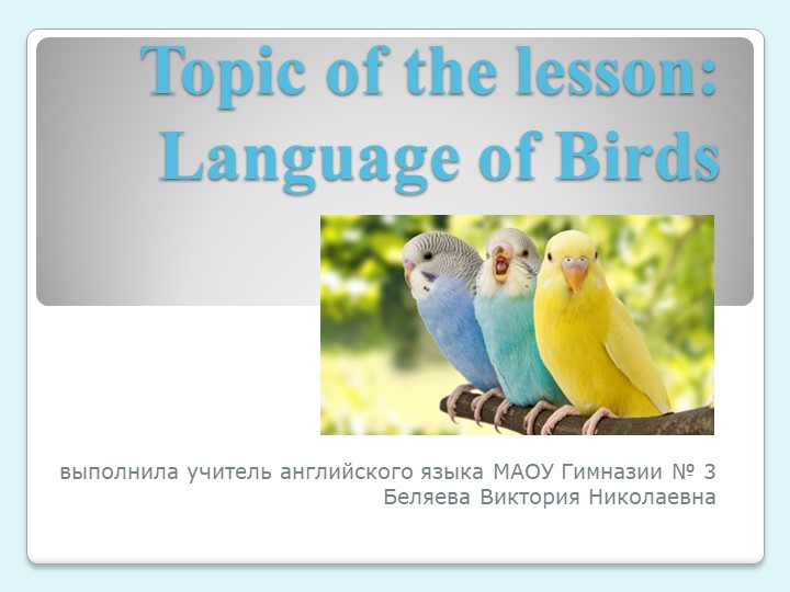 Презентация к уроку английского языка на тему "Language of Birds" (7 класс)  - Скачать презентации бесплатно | Читать или скачать учебники для школы онлайн бесплатно ☑ Школьные учебники school-textbook.com