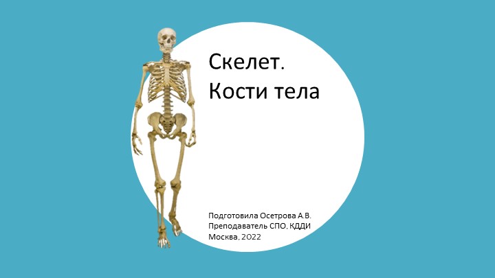 Презентация по пластической анатомии "Скелет. Кости тела"  - Скачать презентации бесплатно | Читать или скачать учебники для школы онлайн бесплатно ☑ Школьные учебники school-textbook.com