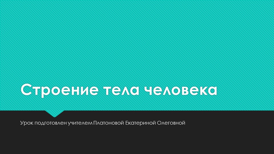 Презентация "Строение тела человека" - Скачать презентации бесплатно | Читать или скачать учебники для школы онлайн бесплатно ☑ Школьные учебники school-textbook.com