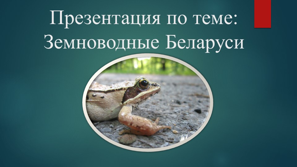 Презентация по теме: Земноводные Беларуси  - Скачать презентации бесплатно | Читать или скачать учебники для школы онлайн бесплатно ☑ Школьные учебники school-textbook.com