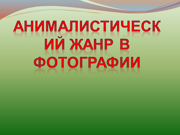 Презентация "Анималистический жанр" (фотография)  - Скачать презентации бесплатно | Читать или скачать учебники для школы онлайн бесплатно ☑ Школьные учебники school-textbook.com