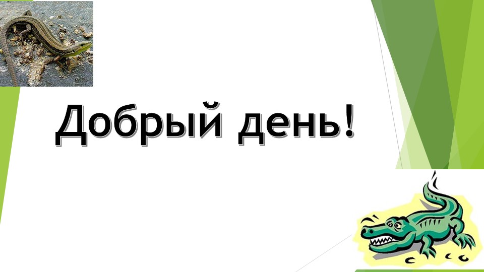 Презентация к уроку внутренние строение пресыщающих - Скачать презентации бесплатно | Читать или скачать учебники для школы онлайн бесплатно ☑ Школьные учебники school-textbook.com