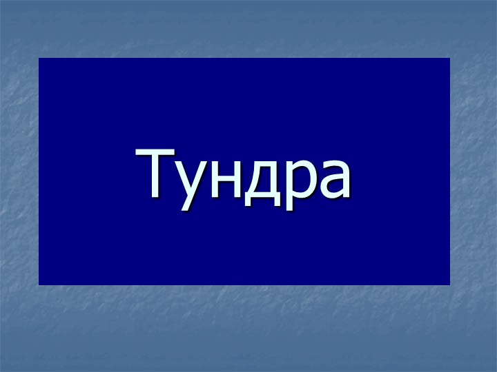 Презентация к уроку окружающего мира "Тундра" - Скачать презентации бесплатно | Читать или скачать учебники для школы онлайн бесплатно ☑ Школьные учебники school-textbook.com