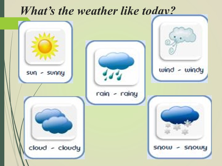 Презентация к уроку "What do you know about the rain forest" - Скачать презентации бесплатно | Читать или скачать учебники для школы онлайн бесплатно ☑ Школьные учебники school-textbook.com