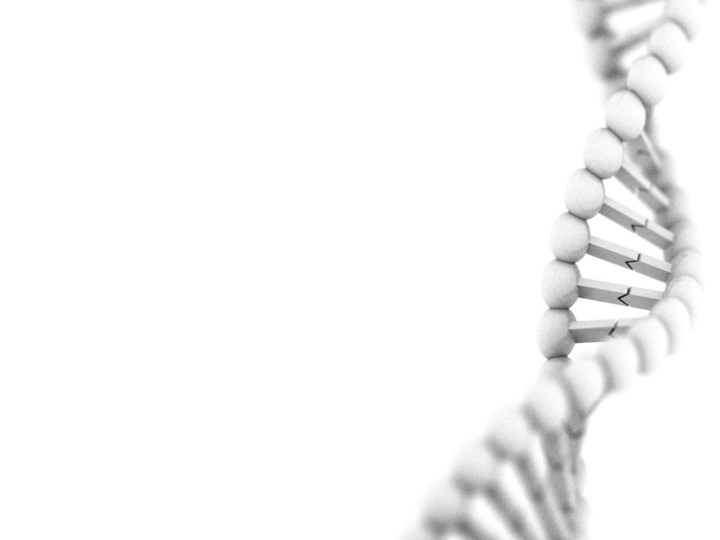 Презентация для подготовки школьников 9 класса к ВОШ (региональный уровень) - Скачать презентации бесплатно | Читать или скачать учебники для школы онлайн бесплатно ☑ Школьные учебники school-textbook.com