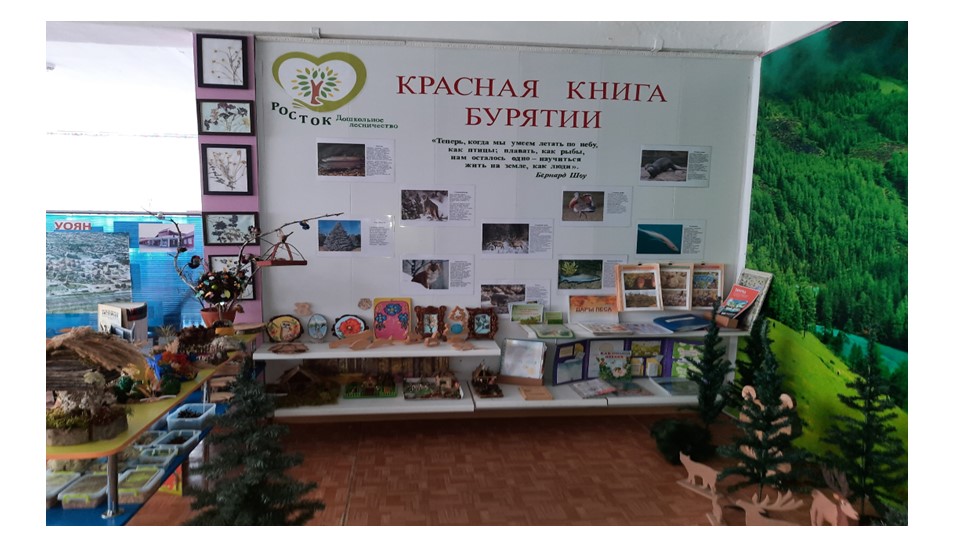 Презентация "Дошкольное лесничество "Росток""  - Скачать презентации бесплатно | Читать или скачать учебники для школы онлайн бесплатно ☑ Школьные учебники school-textbook.com