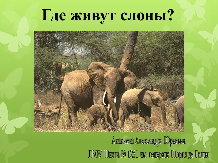 Презентация по окружающему миру "Где живут слоны" (1 класс) - Скачать презентации бесплатно | Читать или скачать учебники для школы онлайн бесплатно ☑ Школьные учебники school-textbook.com
