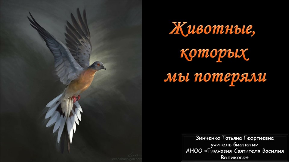 Презентация по биологии на тему "Животные, которых мы потеряли" (7 класс) - Скачать презентации бесплатно | Читать или скачать учебники для школы онлайн бесплатно ☑ Школьные учебники school-textbook.com