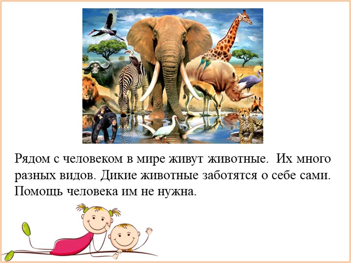 Презентация к позновательно-развлекательному мероприятию "Наши питомцы" - Скачать презентации бесплатно | Читать или скачать учебники для школы онлайн бесплатно ☑ Школьные учебники school-textbook.com