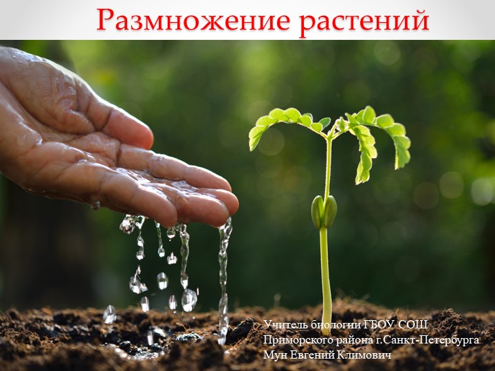 Презентация на тему Размножение растений, биология,6 класс - Скачать презентации бесплатно | Читать или скачать учебники для школы онлайн бесплатно ☑ Школьные учебники school-textbook.com