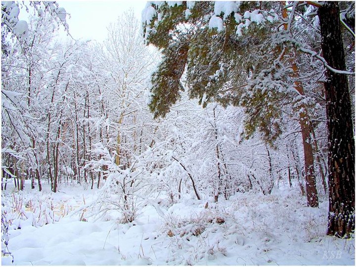 Презентация к уроку "Задача" - Скачать презентации бесплатно | Читать или скачать учебники для школы онлайн бесплатно ☑ Школьные учебники school-textbook.com